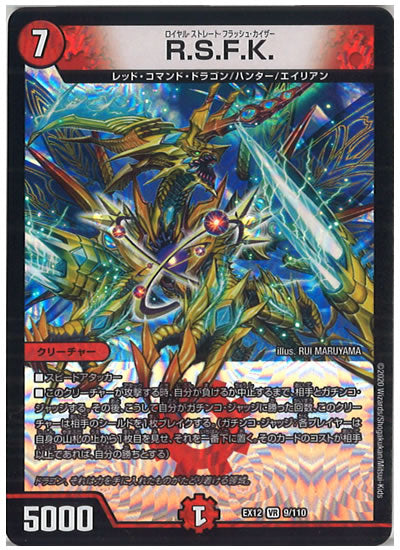 [DMEX-12]R.S.F.K.【VR】9/110