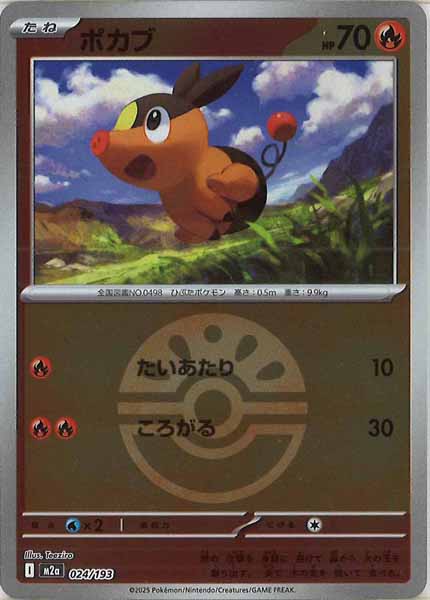 [M2a]ポカブ（ボールマーク仕様）【No mark】024/193