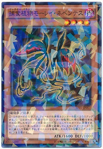 [SPFE]捕食植物モーレイ・ネペンテス(ノーマルパラレル)SPFE-JP007