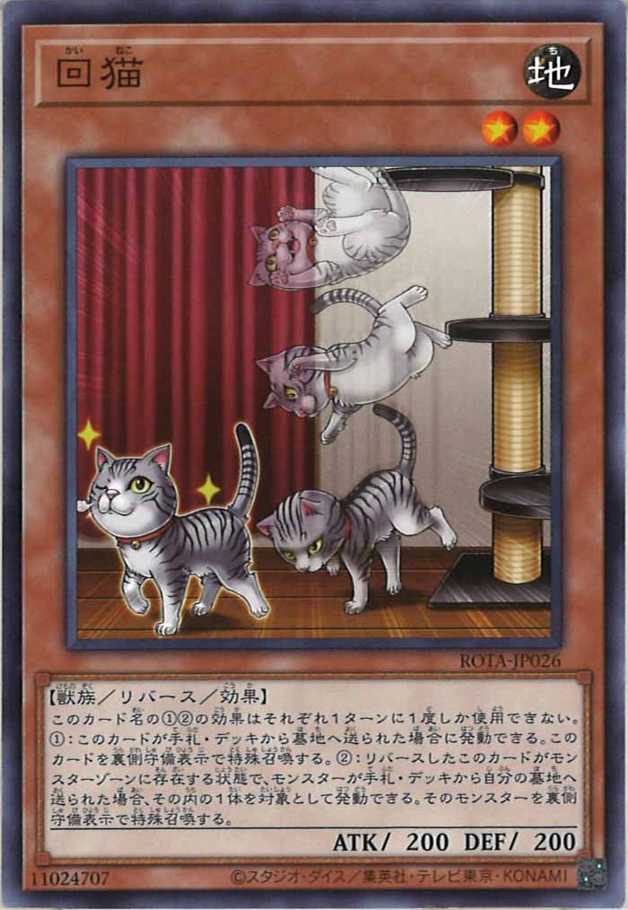 [ROTA]回猫(ノーマル)ROTA-JP026