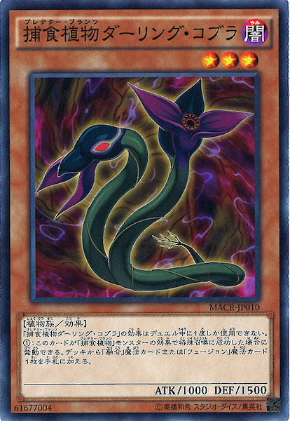 [MACR]捕食植物ダーリング・コブラ(ノーマル)MACR-JP010