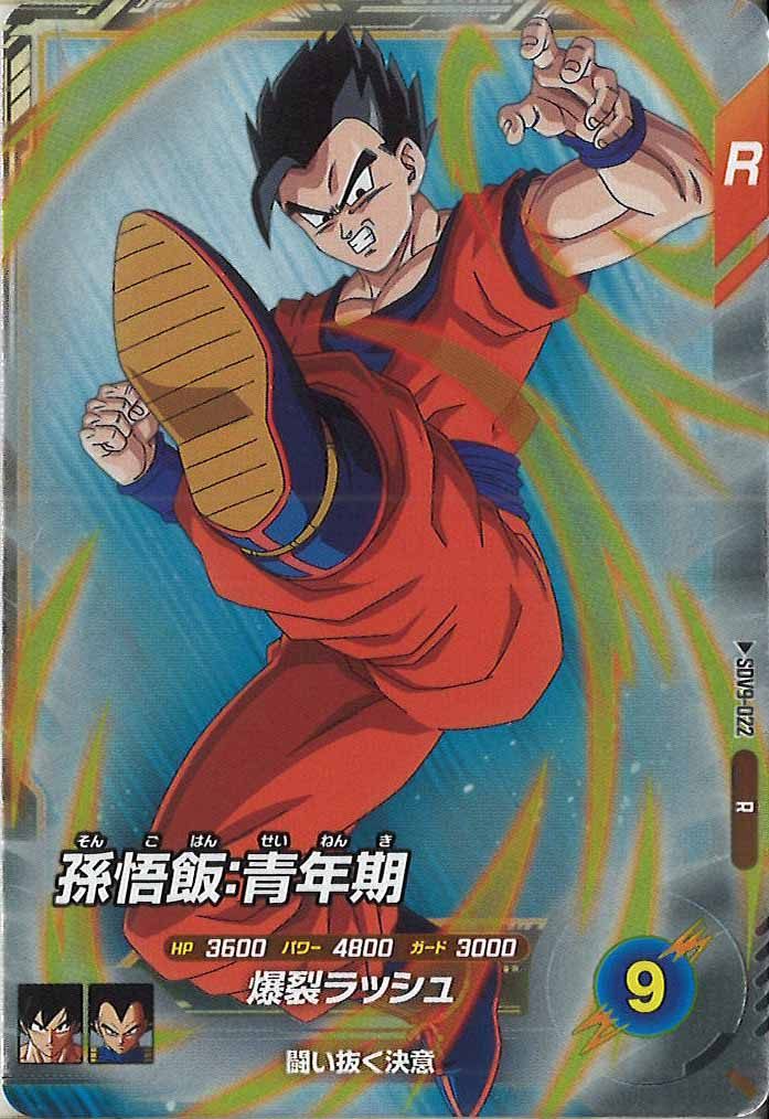 [DB_SDV9]孫悟飯:青年期【R】SDV9-022